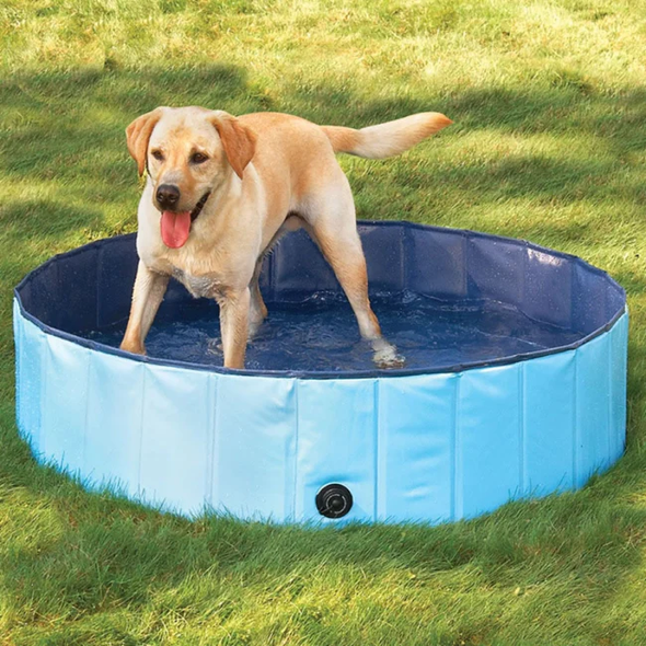 Foldable Dog Swimming Pool-Paw Pool