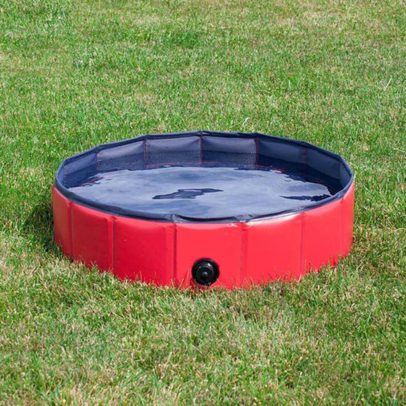 Foldable Dog Swimming Pool-Paw Pool