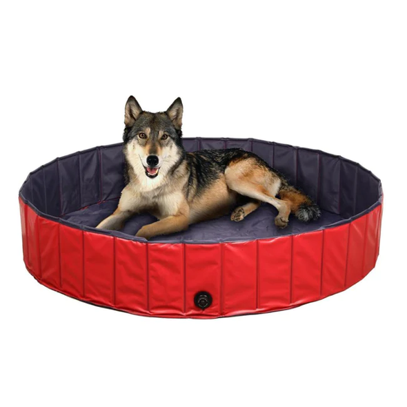 Foldable Dog Swimming Pool-Paw Pool